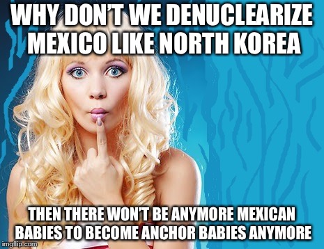 ditzy blonde | WHY DON’T WE DENUCLEARIZE MEXICO LIKE NORTH KOREA; THEN THERE WON’T BE ANYMORE MEXICAN BABIES TO BECOME ANCHOR BABIES ANYMORE | image tagged in ditzy blonde | made w/ Imgflip meme maker