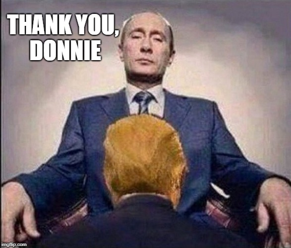 Putin serviced by Trump | THANK YOU, DONNIE | image tagged in trump putin sex,trump,putin,russian,republican,treason | made w/ Imgflip meme maker
