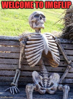 Waiting Skeleton Meme | WELCOME TO IMGFLIP | image tagged in memes,waiting skeleton | made w/ Imgflip meme maker