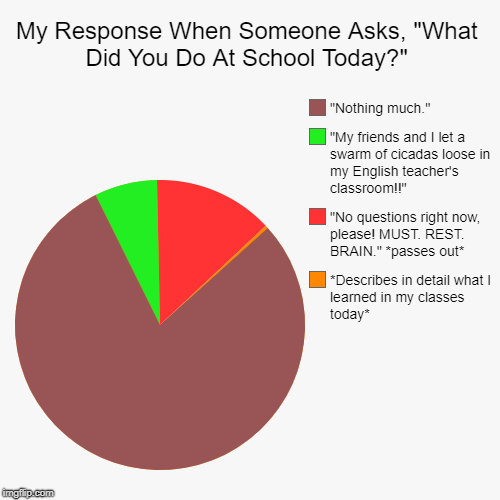 My Response When Someone Asks, "What Did You Do At School Today?" | *Describes in detail what I learned in my classes today*, "No questions  | image tagged in funny,pie charts,school,after school | made w/ Imgflip chart maker