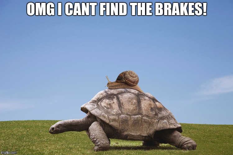 Speed Up or Slow Down  | OMG I CANT FIND THE BRAKES! | image tagged in stop,brakes,no brakes,tortoise,snail,snail riding turtle | made w/ Imgflip meme maker