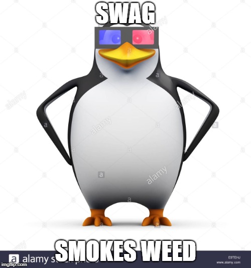 SWAG; SMOKES WEED | made w/ Imgflip meme maker