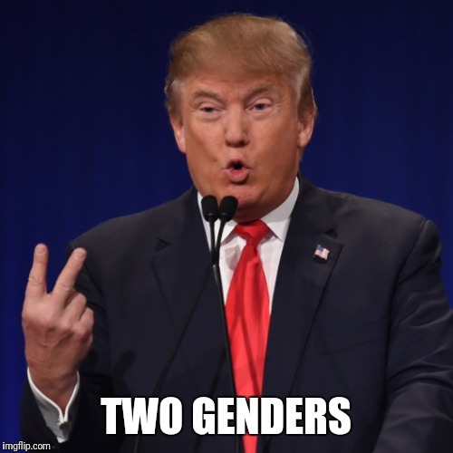 Only two | TWO GENDERS | image tagged in gender | made w/ Imgflip meme maker
