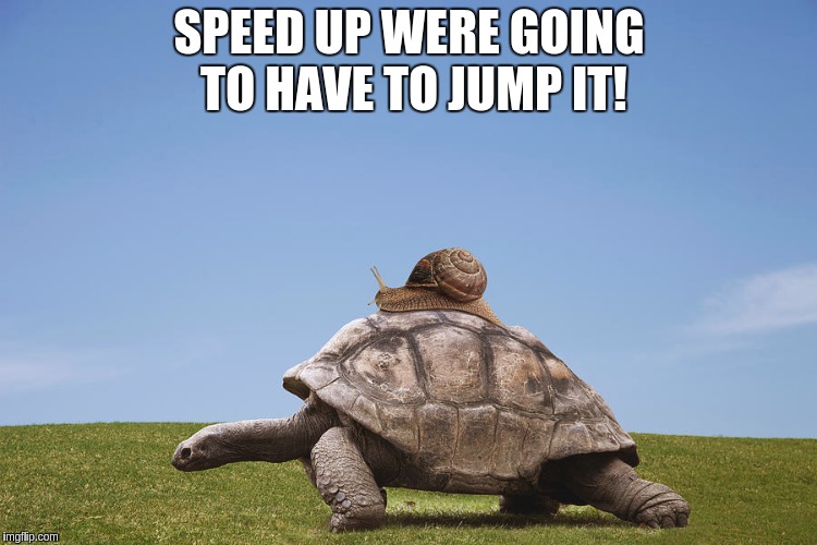 #WEREJUMPINGIT | SPEED UP WERE GOING TO HAVE TO JUMP IT! | image tagged in bad pun tortoise,snail riding turtle,the great awakening,new world order | made w/ Imgflip meme maker