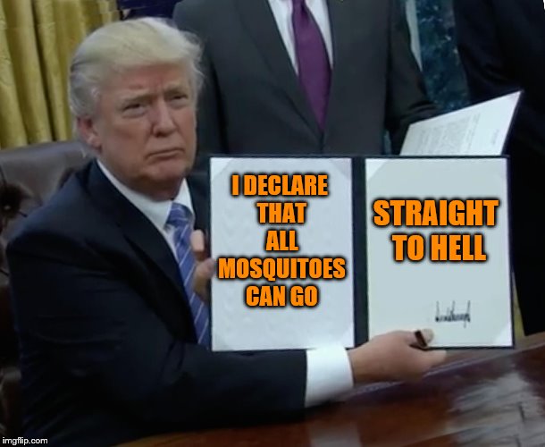 Trump Bill Signing Meme | I DECLARE THAT ALL MOSQUITOES CAN GO STRAIGHT TO HELL | image tagged in memes,trump bill signing | made w/ Imgflip meme maker