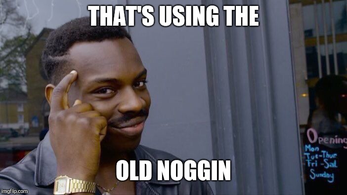 Roll Safe Think About It Meme | THAT'S USING THE OLD NOGGIN | image tagged in memes,roll safe think about it | made w/ Imgflip meme maker