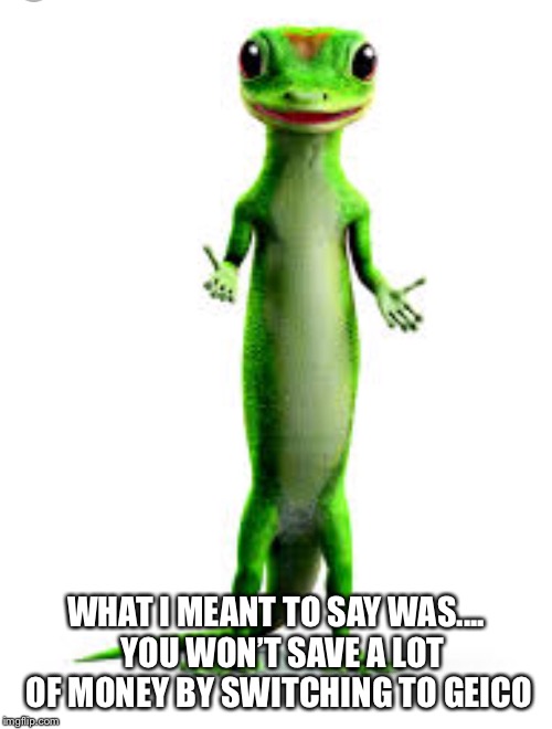 WHAT I MEANT TO SAY WAS....  YOU WON’T SAVE A LOT OF MONEY BY SWITCHING TO GEICO | image tagged in imgflip humor | made w/ Imgflip meme maker