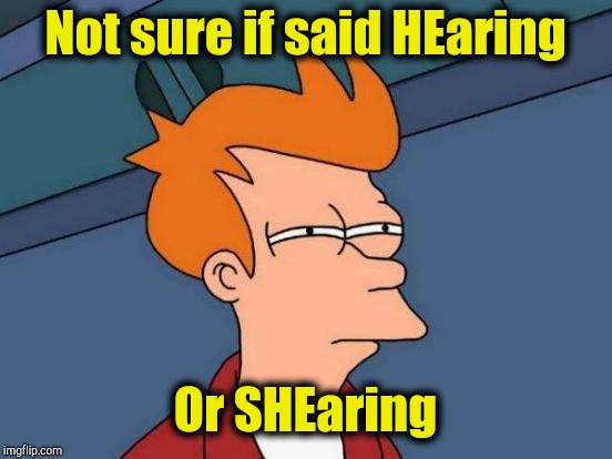 Futurama Fry Meme | Not sure if said HEaring Or SHEaring | image tagged in memes,futurama fry | made w/ Imgflip meme maker