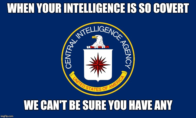 Central Intelligence Agency CIA | WHEN YOUR INTELLIGENCE IS SO COVERT WE CAN'T BE SURE YOU HAVE ANY | image tagged in central intelligence agency cia | made w/ Imgflip meme maker