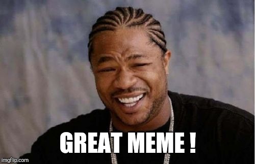 Yo Dawg Heard You Meme | GREAT MEME ! | image tagged in memes,yo dawg heard you | made w/ Imgflip meme maker