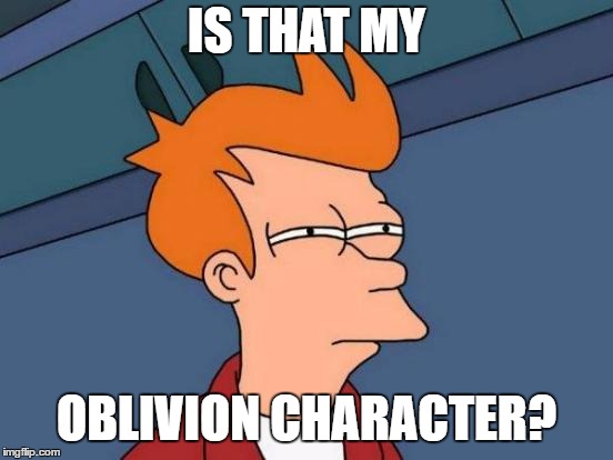 Futurama Fry Meme | IS THAT MY OBLIVION CHARACTER? | image tagged in memes,futurama fry | made w/ Imgflip meme maker