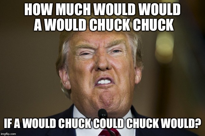 HOW MUCH WOULD WOULD A WOULD CHUCK CHUCK; IF A WOULD CHUCK COULD CHUCK WOULD? | image tagged in trump | made w/ Imgflip meme maker