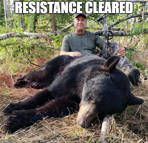 Dead Bear | RESISTANCE CLEARED | image tagged in dead bear | made w/ Imgflip meme maker
