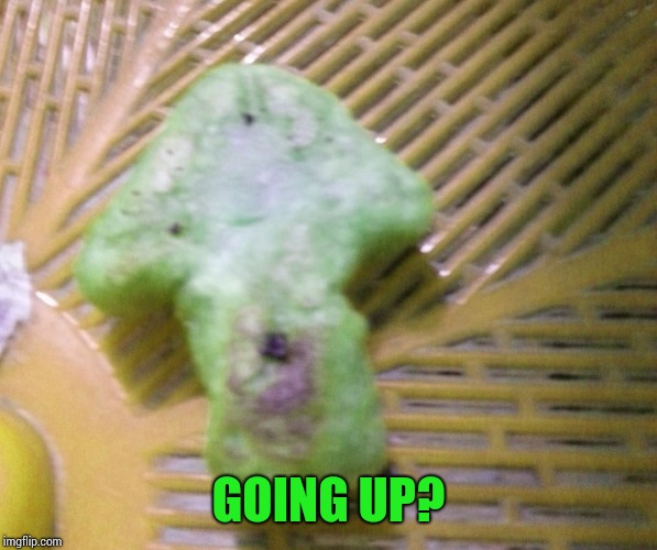 Upvote cookie | GOING UP? | image tagged in upvote cookie | made w/ Imgflip meme maker