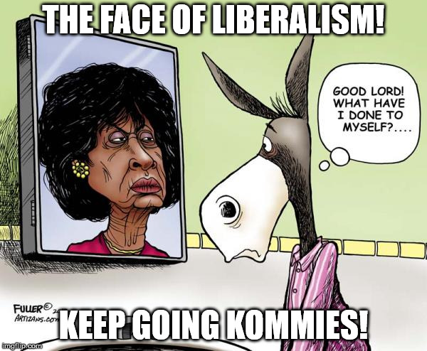 THE FACE OF LIBERALISM! KEEP GOING KOMMIES! | image tagged in democrats | made w/ Imgflip meme maker