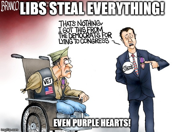 LIBS STEAL EVERYTHING! EVEN PURPLE HEARTS! | image tagged in democrats | made w/ Imgflip meme maker