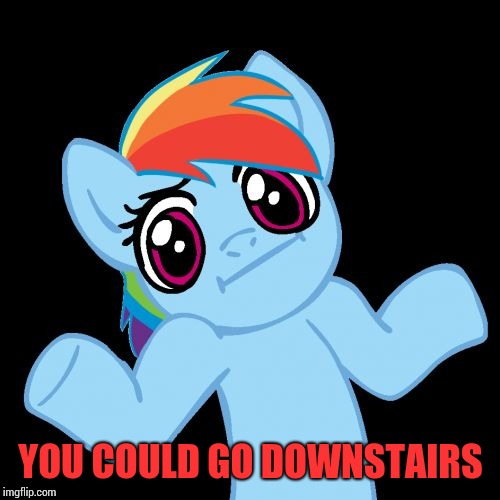 Pony Shrugs Meme | YOU COULD GO DOWNSTAIRS | image tagged in memes,pony shrugs | made w/ Imgflip meme maker