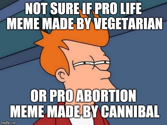 Futurama Fry Meme | NOT SURE IF PRO LIFE MEME MADE BY VEGETARIAN OR PRO ABORTION MEME MADE BY CANNIBAL | image tagged in memes,futurama fry | made w/ Imgflip meme maker
