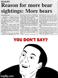 More bears? | image tagged in you don't say,memes,bears,ilikepie314159265358979 | made w/ Imgflip meme maker