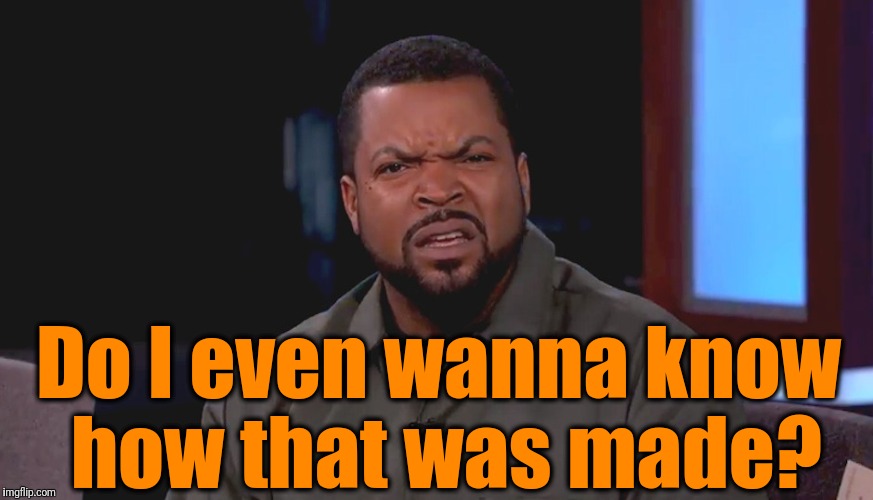 Really? Ice Cube | Do I even wanna know how that was made? | image tagged in really ice cube | made w/ Imgflip meme maker