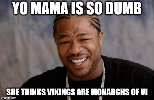 Yo Dawg Heard You Meme | YO MAMA IS SO DUMB; SHE THINKS VIKINGS ARE MONARCHS OF VI | image tagged in memes,yo dawg heard you | made w/ Imgflip meme maker