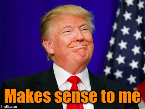 Trump Smile | Makes sense to me | image tagged in trump smile | made w/ Imgflip meme maker