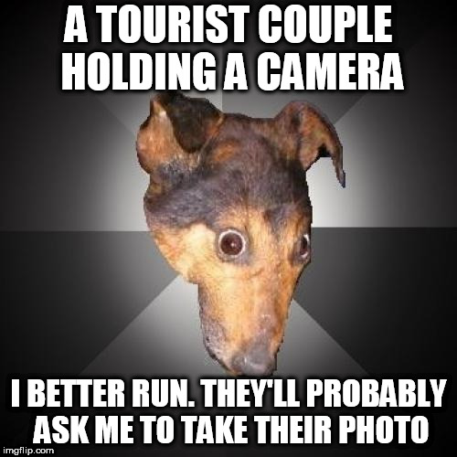 Depression Dog | A TOURIST COUPLE HOLDING A CAMERA; I BETTER RUN. THEY'LL PROBABLY ASK ME TO TAKE THEIR PHOTO | image tagged in memes,depression dog | made w/ Imgflip meme maker