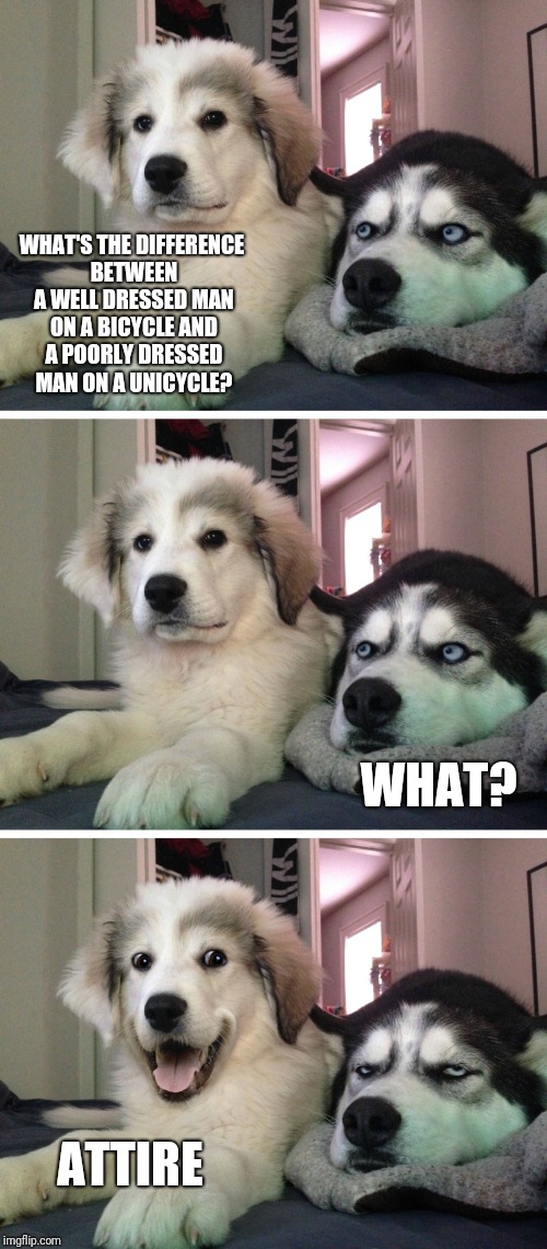 PREPARE THYSELF FOR BAD PUNS!!!!!!!!!! | WHAT'S THE DIFFERENCE BETWEEN A WELL DRESSED MAN ON A BICYCLE AND A POORLY DRESSED MAN ON A UNICYCLE? WHAT? ATTIRE | image tagged in bad pun dogs,attire,bad pun,memes,ilikepie314159265358979 | made w/ Imgflip meme maker