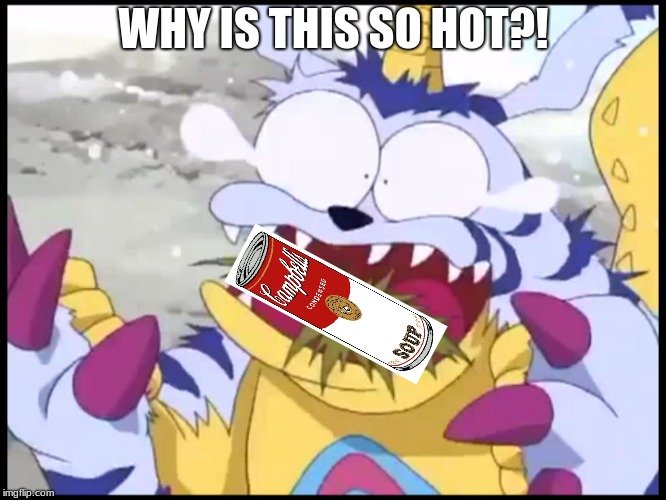 Gabumon does not like hot human food | WHY IS THIS SO HOT?! | image tagged in gabumon does not like hot human food | made w/ Imgflip meme maker