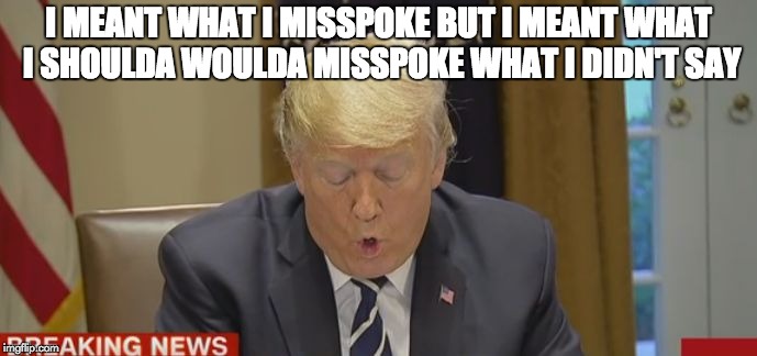 I meant what I misspoke | I MEANT WHAT I MISSPOKE BUT I MEANT WHAT I SHOULDA WOULDA MISSPOKE WHAT I DIDN'T SAY | image tagged in stupid,trump,stop it,funny memes,too funny,dump trump | made w/ Imgflip meme maker