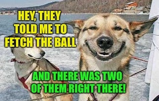 HEY, THEY TOLD ME TO FETCH THE BALL AND THERE WAS TWO OF THEM RIGHT THERE! | made w/ Imgflip meme maker