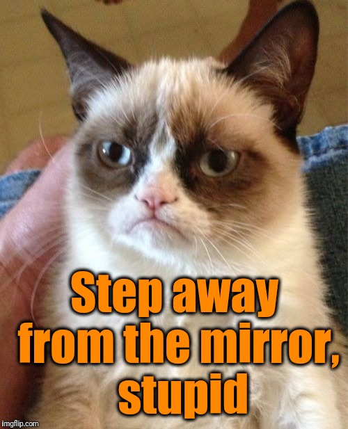 Grumpy Cat Meme | Step away from the mirror,  stupid | image tagged in memes,grumpy cat | made w/ Imgflip meme maker