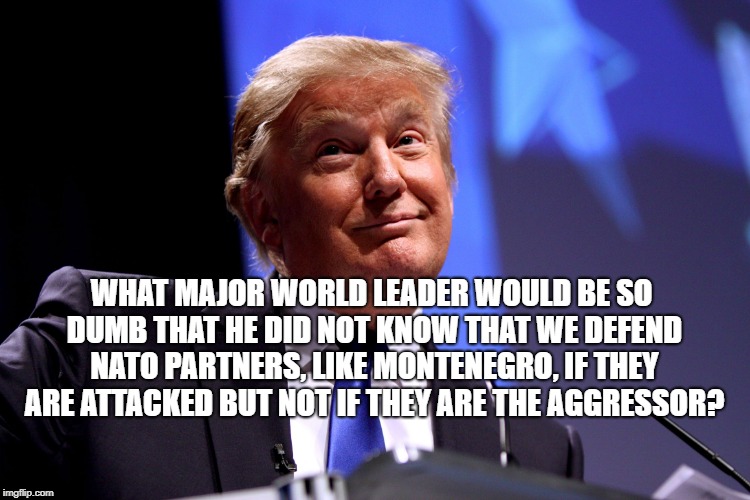 Donald Trump | WHAT MAJOR WORLD LEADER WOULD BE SO DUMB THAT HE DID NOT KNOW THAT WE DEFEND NATO PARTNERS, LIKE MONTENEGRO, IF THEY ARE ATTACKED BUT NOT IF THEY ARE THE AGGRESSOR? | image tagged in donald trump | made w/ Imgflip meme maker
