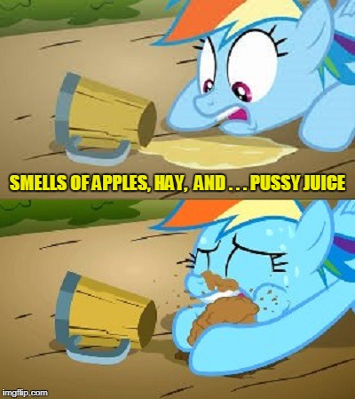 SMELLS OF APPLES, HAY,  AND . . . PUSSY JUICE | made w/ Imgflip meme maker