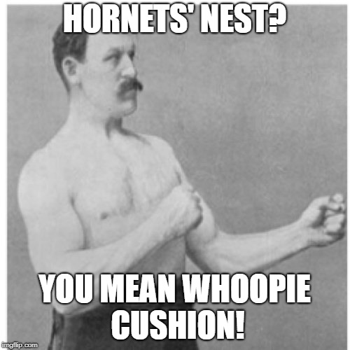 Overly Manly Man Meme | HORNETS' NEST? YOU MEAN WHOOPIE CUSHION! | image tagged in memes,overly manly man,funny memes | made w/ Imgflip meme maker