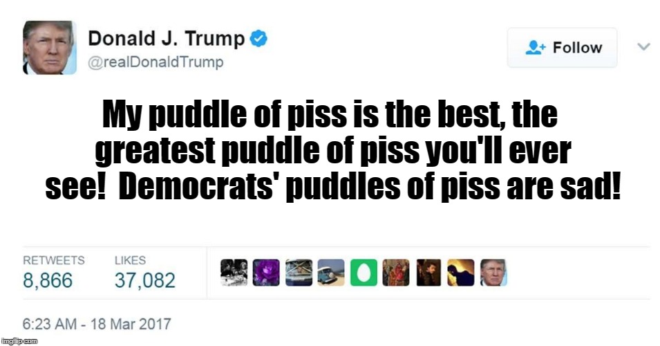 My puddle of piss is the best, the greatest puddle of piss you'll ever see!  Democrats' puddles of piss are sad! | made w/ Imgflip meme maker