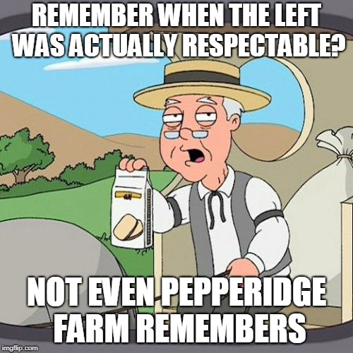 Pepperidge Farm Remembers Meme | REMEMBER WHEN THE LEFT WAS ACTUALLY RESPECTABLE? NOT EVEN PEPPERIDGE FARM REMEMBERS | image tagged in memes,pepperidge farm remembers | made w/ Imgflip meme maker