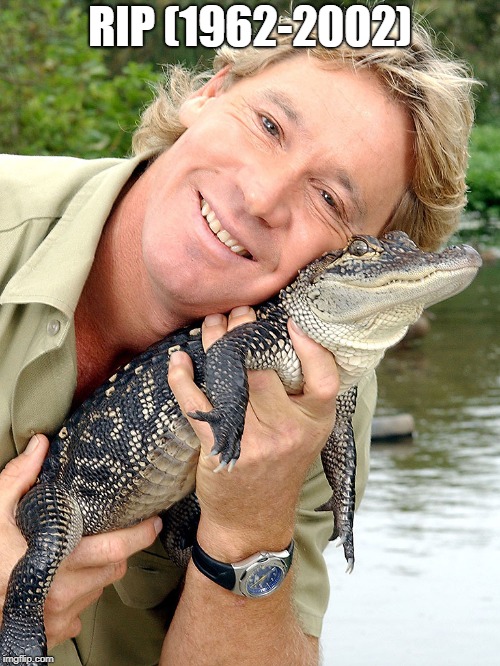 Congrats to Steve Irwin set to be given a HollyWood Walk of Fame Star, well earnt! | RIP (1962-2002) | image tagged in steve irwin,hollywood,walk of fame,rip | made w/ Imgflip meme maker