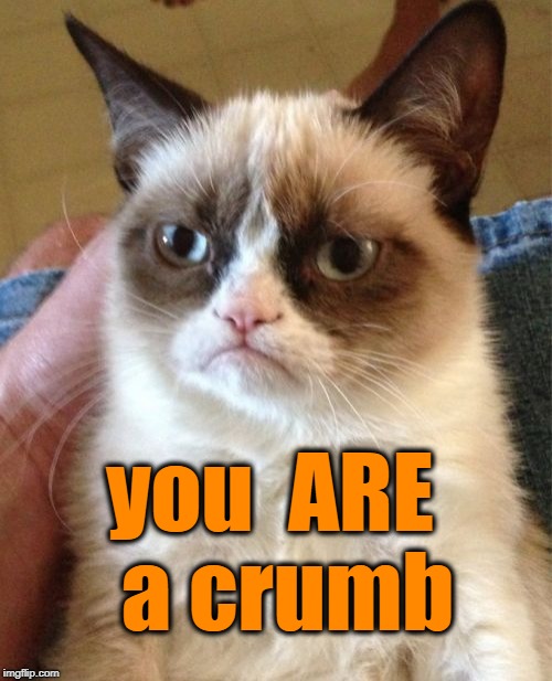 Grumpy Cat Meme | you  ARE  a crumb | image tagged in memes,grumpy cat | made w/ Imgflip meme maker