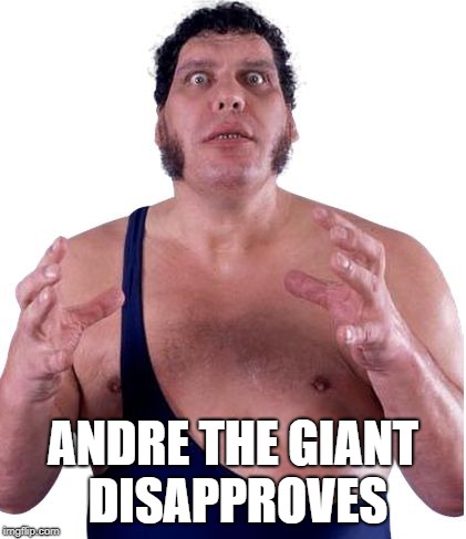 Andre the Giant | ANDRE THE GIANT DISAPPROVES | image tagged in andre the giant | made w/ Imgflip meme maker