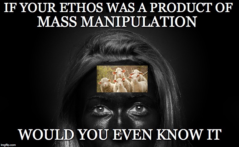 Would You | IF YOUR ETHOS WAS A PRODUCT OF; MASS MANIPULATION; WOULD YOU EVEN KNOW IT | image tagged in ethos,mass manipulation,know,awareness,sheeple | made w/ Imgflip meme maker