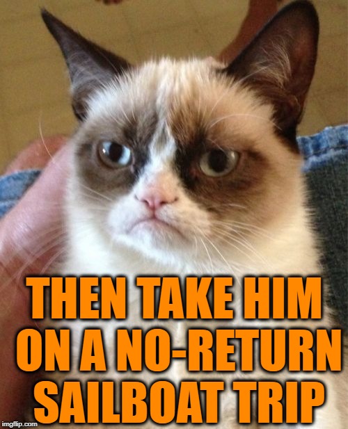 Grumpy Cat Meme | THEN TAKE HIM ON A NO-RETURN SAILBOAT TRIP | image tagged in memes,grumpy cat | made w/ Imgflip meme maker