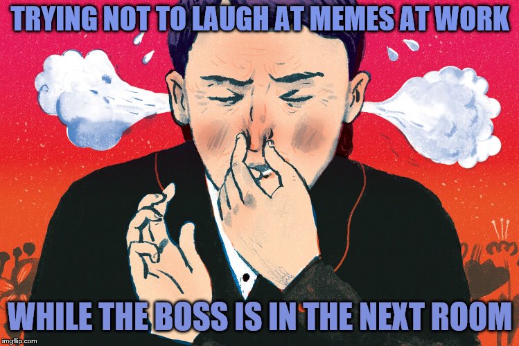 Memes CAN be a workplace hazard | TRYING NOT TO LAUGH AT MEMES AT WORK; WHILE THE BOSS IS IN THE NEXT ROOM | image tagged in memes,imgflip | made w/ Imgflip meme maker