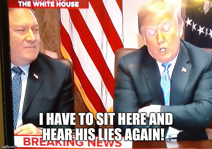 I HAVE TO SIT HERE AND HEAR HIS LIES AGAIN! | image tagged in trump lied | made w/ Imgflip meme maker