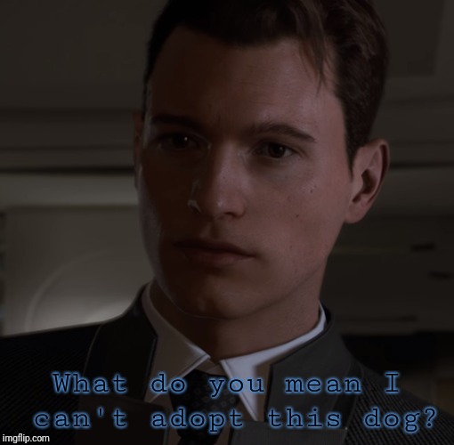 What do you mean I can't adopt this dog? | image tagged in detroit become human,dbh,dogs,connor,rk800 | made w/ Imgflip meme maker