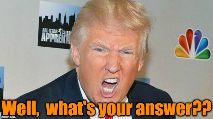 Well,  what's your answer?? | image tagged in trump mad | made w/ Imgflip meme maker