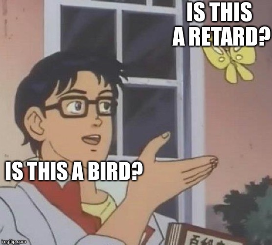 Is This A Pigeon Meme | IS THIS A RETARD? IS THIS A BIRD? | image tagged in memes,is this a pigeon | made w/ Imgflip meme maker
