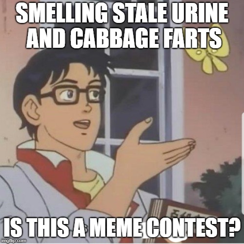 Butterfly man | SMELLING STALE URINE AND CABBAGE FARTS; IS THIS A MEME CONTEST? | image tagged in butterfly man | made w/ Imgflip meme maker