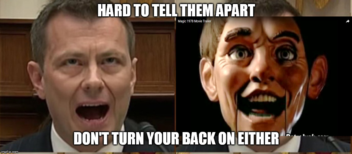 HARD TO TELL THEM APART; DON'T TURN YOUR BACK ON EITHER | image tagged in strzok,stroke | made w/ Imgflip meme maker