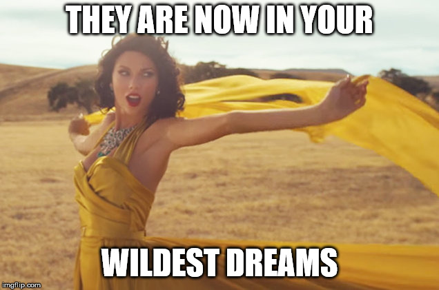 Wildest Dreams Taylor | THEY ARE NOW IN YOUR WILDEST DREAMS | image tagged in wildest dreams taylor | made w/ Imgflip meme maker